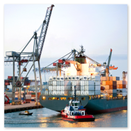 Porto container con gru e navi ormeggiate